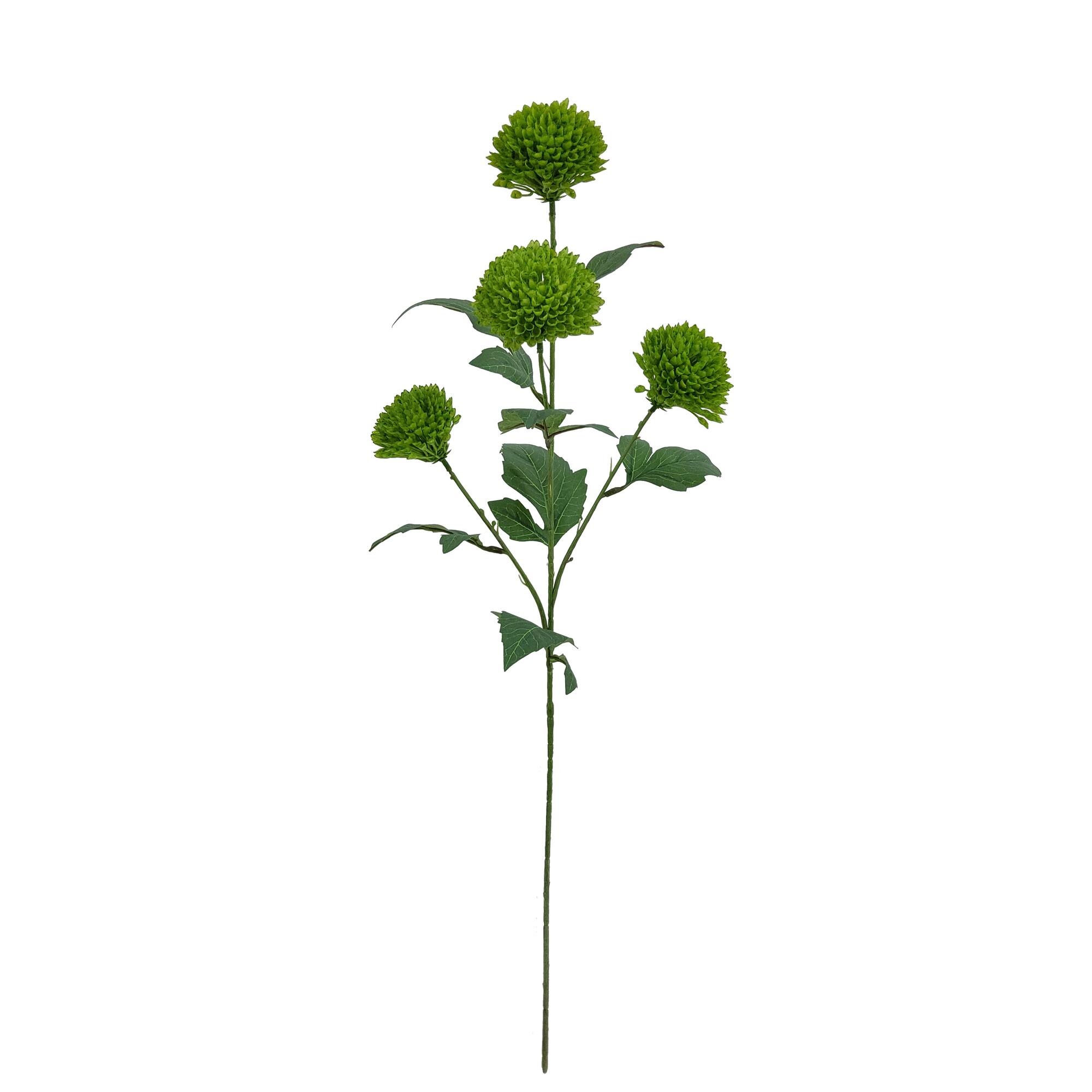 28.5" Green Pom Pom Mum Stem by Ashland®